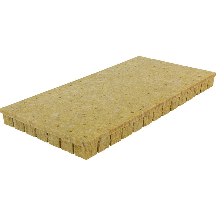 Grodan A-OK Starter Plugs, 1.5" - 98 per Sheet - Case of 30 Sheets