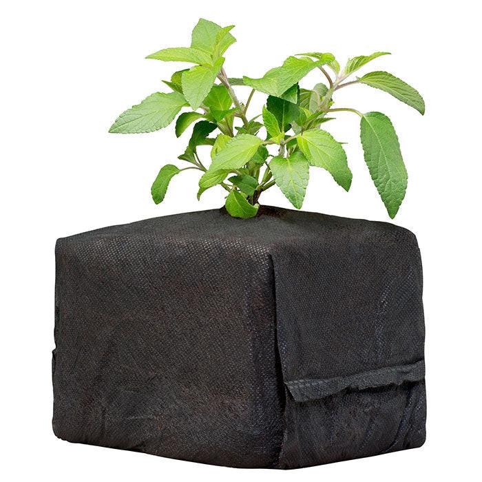 Botanicare CocoPro Cube