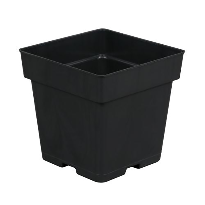 Gro Pro Black Plastic Pot, 5.5 x 5.5 x 5.75 in. - Case of 200