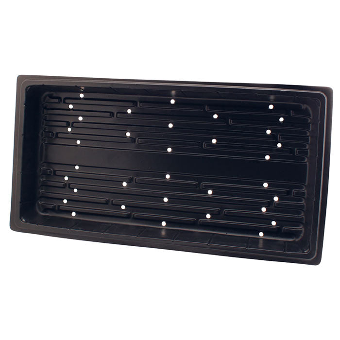Super Sprouter Propagation Tray 10 x 20 with Holes - Pack of 100