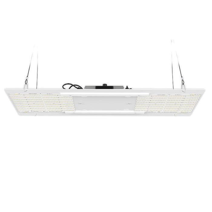 Horticulture Lighting Group HLG 250 Veg Pro LED Grow Light, RJ Ports and Manual Knob, 120/240 Volt