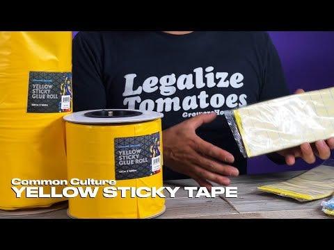 Common Culture Blue Sticky Glue Roll - 15cm x 100m (Euro. Standard).