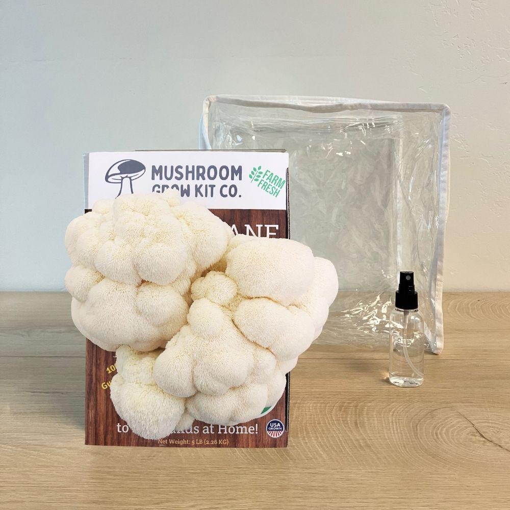 Lion's Mane Mushroom Growing Kit - 5 LBS Spray and Grow.