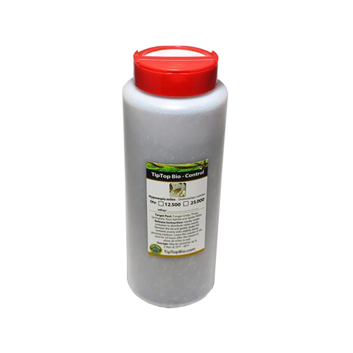 Tip Top Bio-Control Hypoaspis Miles/Stratiolaelaps Scimitus Beneficial Mites, Pack of 50,000