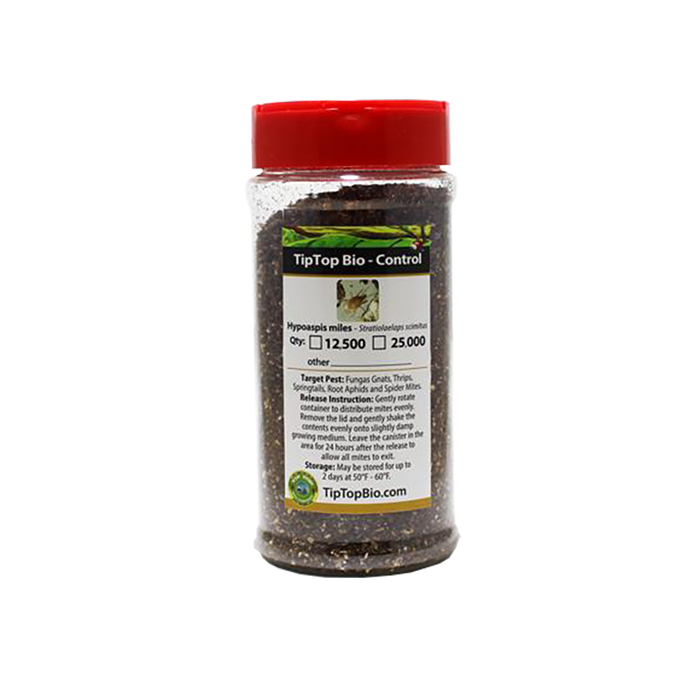 Tip Top Bio-Control Hypoaspis Miles/Stratiolaelaps Scimitus Beneficial Mites