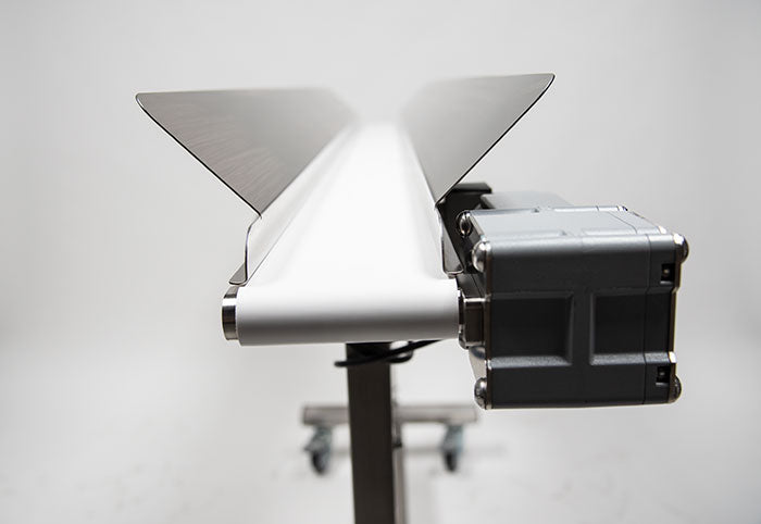 Mobius Infeed Conveyor Package