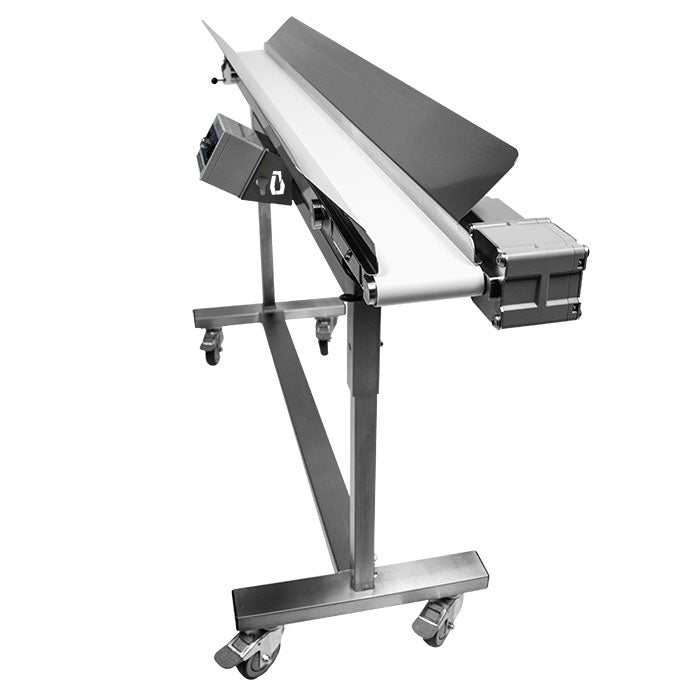Mobius Infeed Conveyor Package