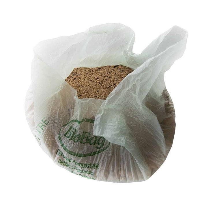 BuildASoil Kashi Bloom