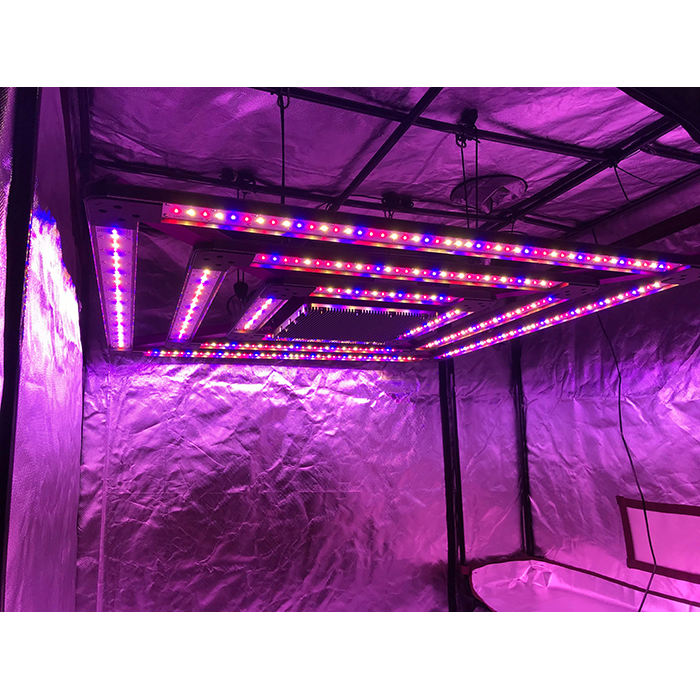 KIND X² Professional 750 Watt LED Grow Light, 240 Volt