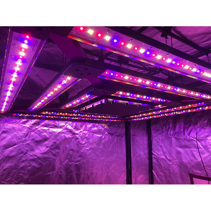 KIND X² Professional 750 Watt LED Grow Light, 240 Volt