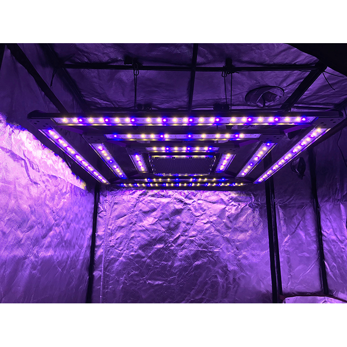 KIND X² Professional 750 Watt LED Grow Light, 240 Volt