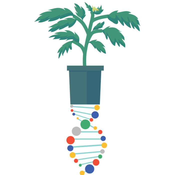 SoHum Living Soils Standard Bag, 1.5 cu ft - Pallet of 60 Bags