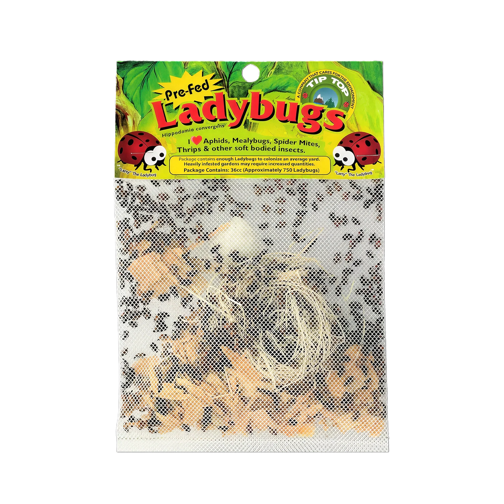 Tip Top Bio-Control Pre-Fed Ladybugs, Pack of 750