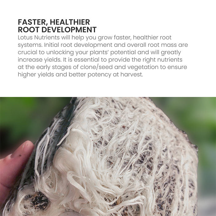 Lotus Pro Series Cal/Mag 15 oz.