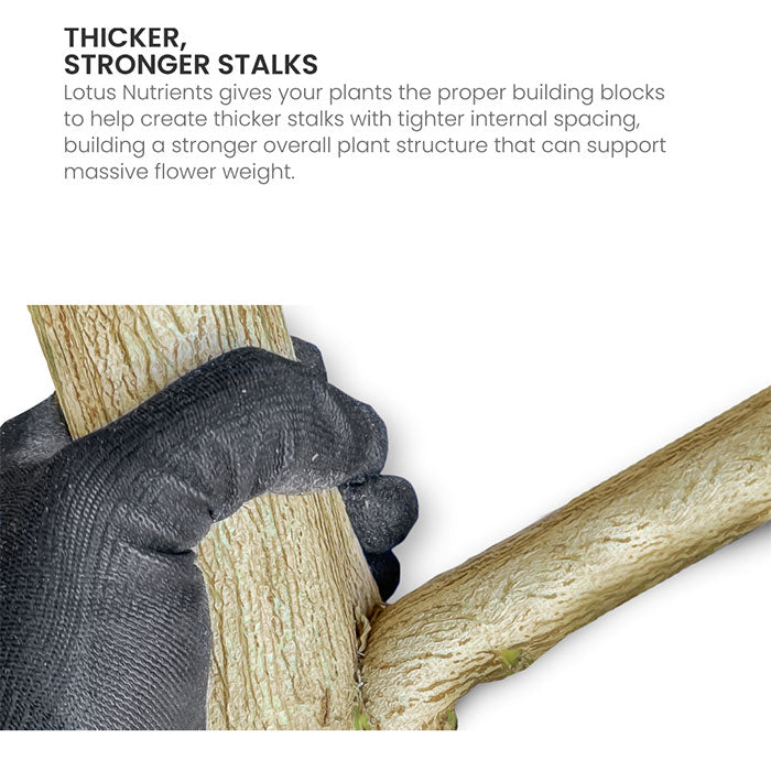 Lotus Pro Series Cal/Mag 60 oz.