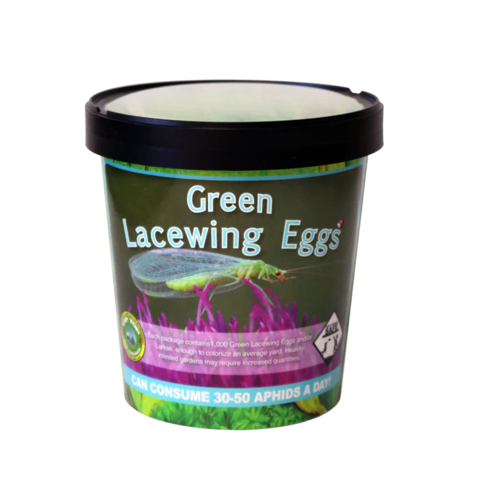 Tip Top Bio-Control Green Lacewing Eggs