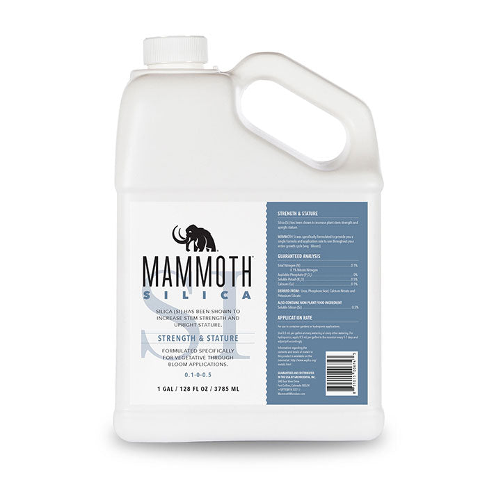 Mammoth Microbes Silica