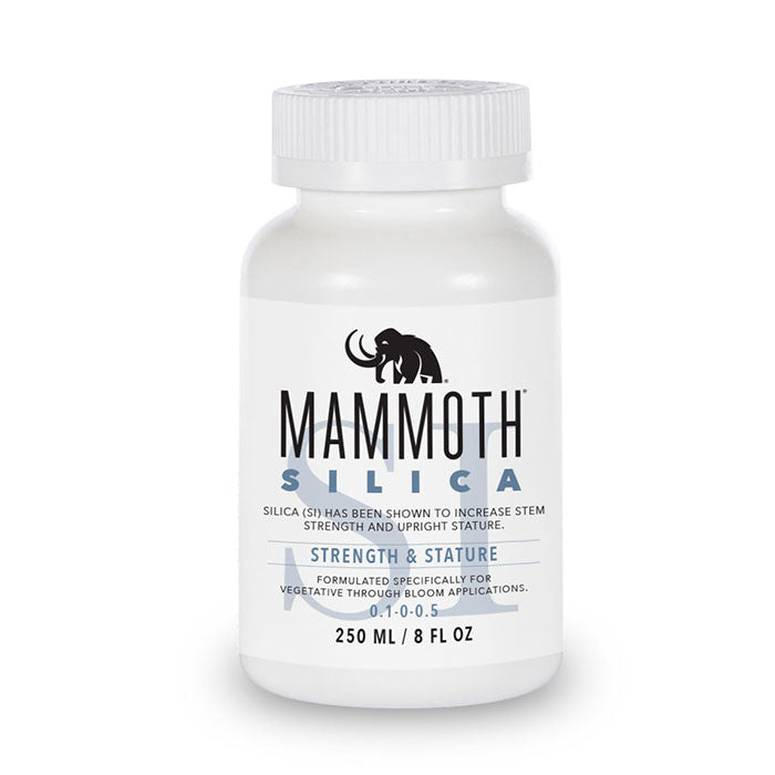 Mammoth Microbes Silica