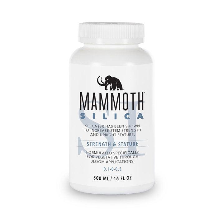 Mammoth Microbes Silica