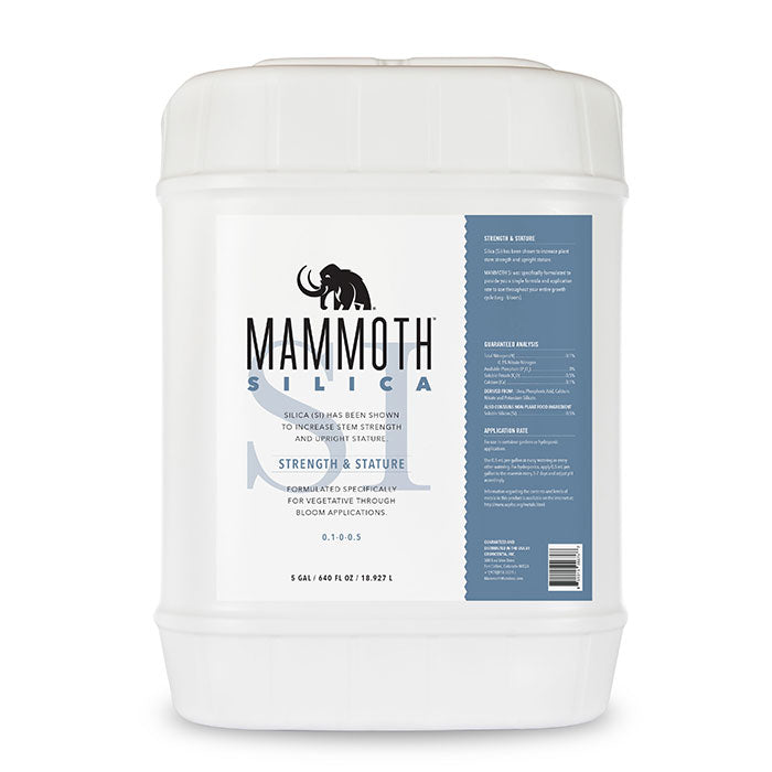 Mammoth Microbes Silica