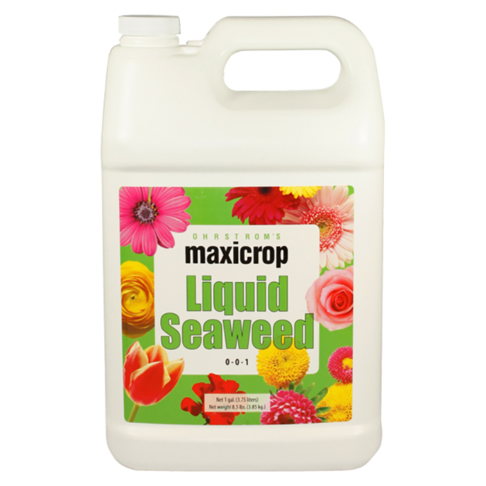 Maxicrop Original Liquid Seaweed, 1 Gallon