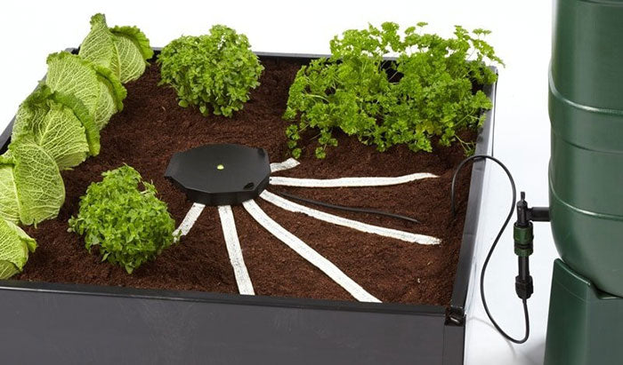 AutoPot AQUAbox Spyder - Wide Raised Beds & Allotments