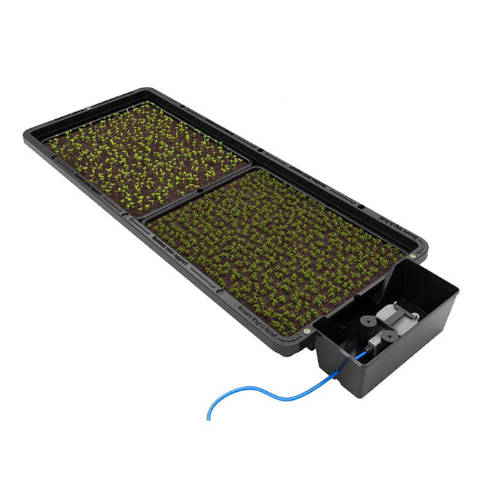 AutoPot Tray2Grow System, Micro Herb Kit with 13 Gallon FlexiTank