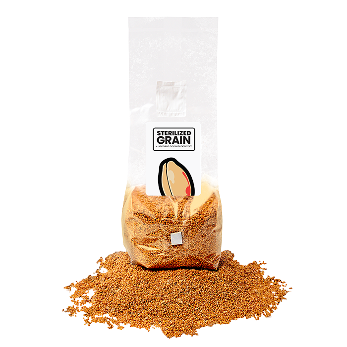 Mushroom Supplies Sterilized Mushroom Grain Spawn, 3 lb