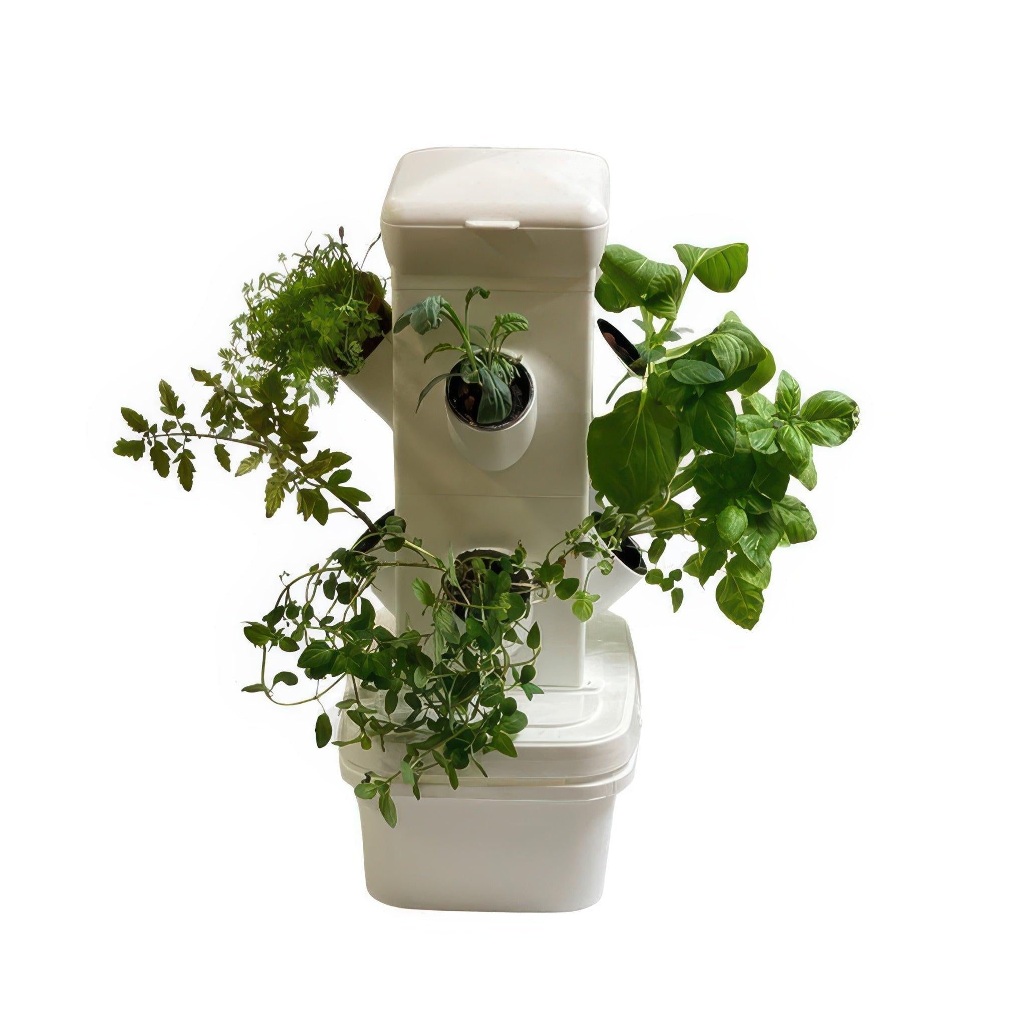 hydroponic plant store near me ExoTower 8 Plant Mini Hydroponic Garden Tower
