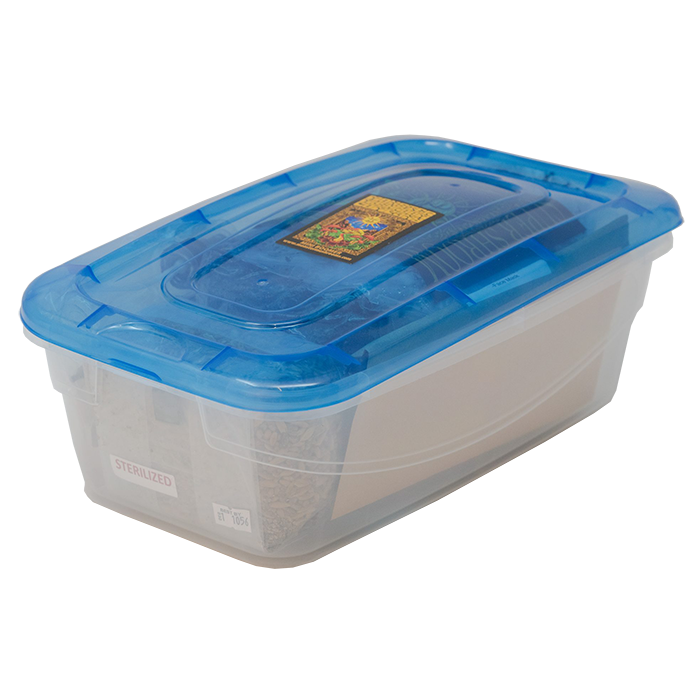 Monster Mushroom Mini-Boomer Grow Kit