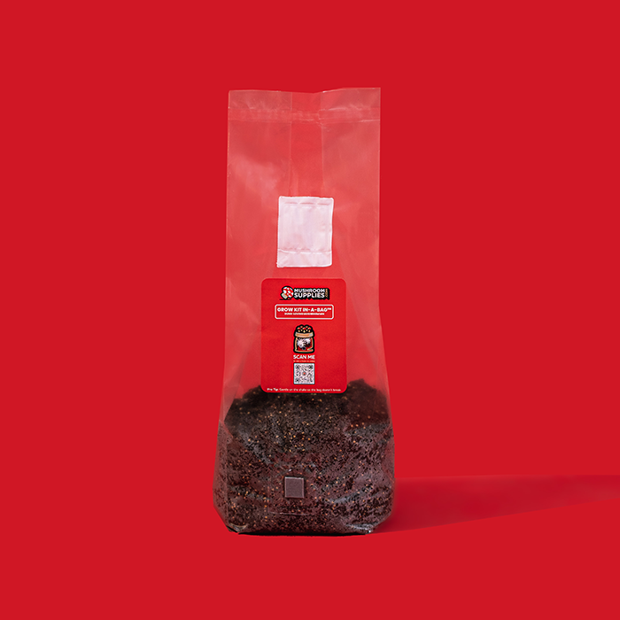 Mushroom Supplies All In One Mushroom Grow Kit In-A-Bag, 3 lbs