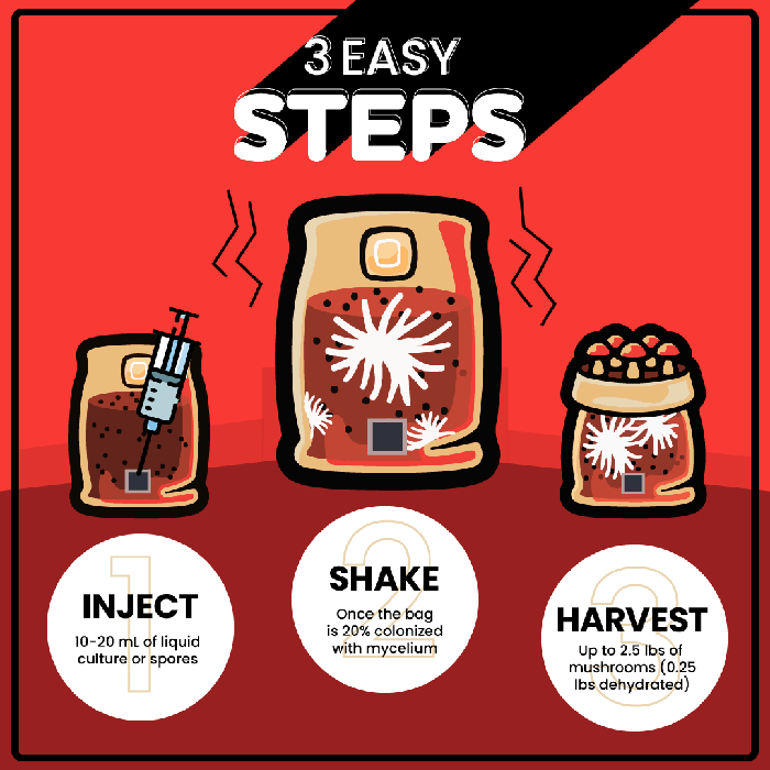 Mushroom Supplies All In One Mushroom Grow Kit In-A-Bag, 5 lb