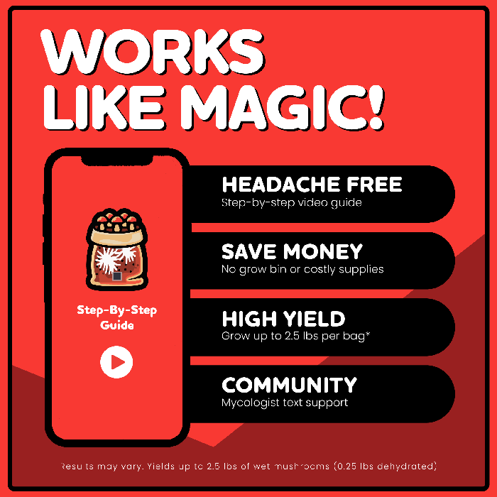 Mushroom Supplies All In One Mushroom Grow Kit In-A-Bag, 5 lb