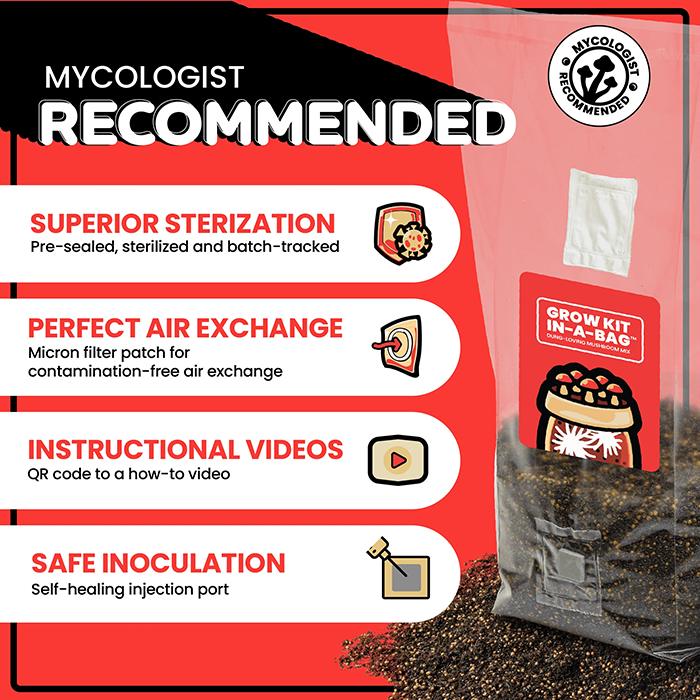 Mushroom Supplies All In One Mushroom Grow Kit In-A-Bag
