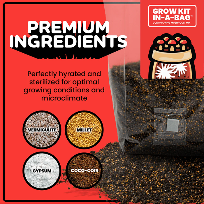 Mushroom Supplies All In One Mushroom Grow Kit In-A-Bag