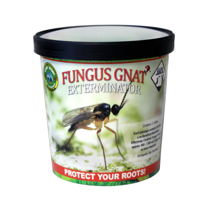 Tip Top Bio-Control Fungus Gnat & Root Knot Exterminator - S. Feltiae Beneficial Nematodes, Cup of 10 Million