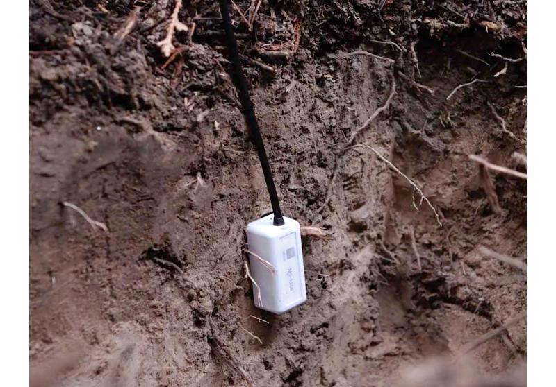 HOBO MX Soil Moisture/Temperature Data Logger