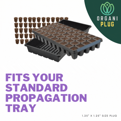 OrganiPlug Seed & Cutting Plugs - Pre-Filled Tray w/ 50 Tall Plugs - Single, Case, and Pallet.