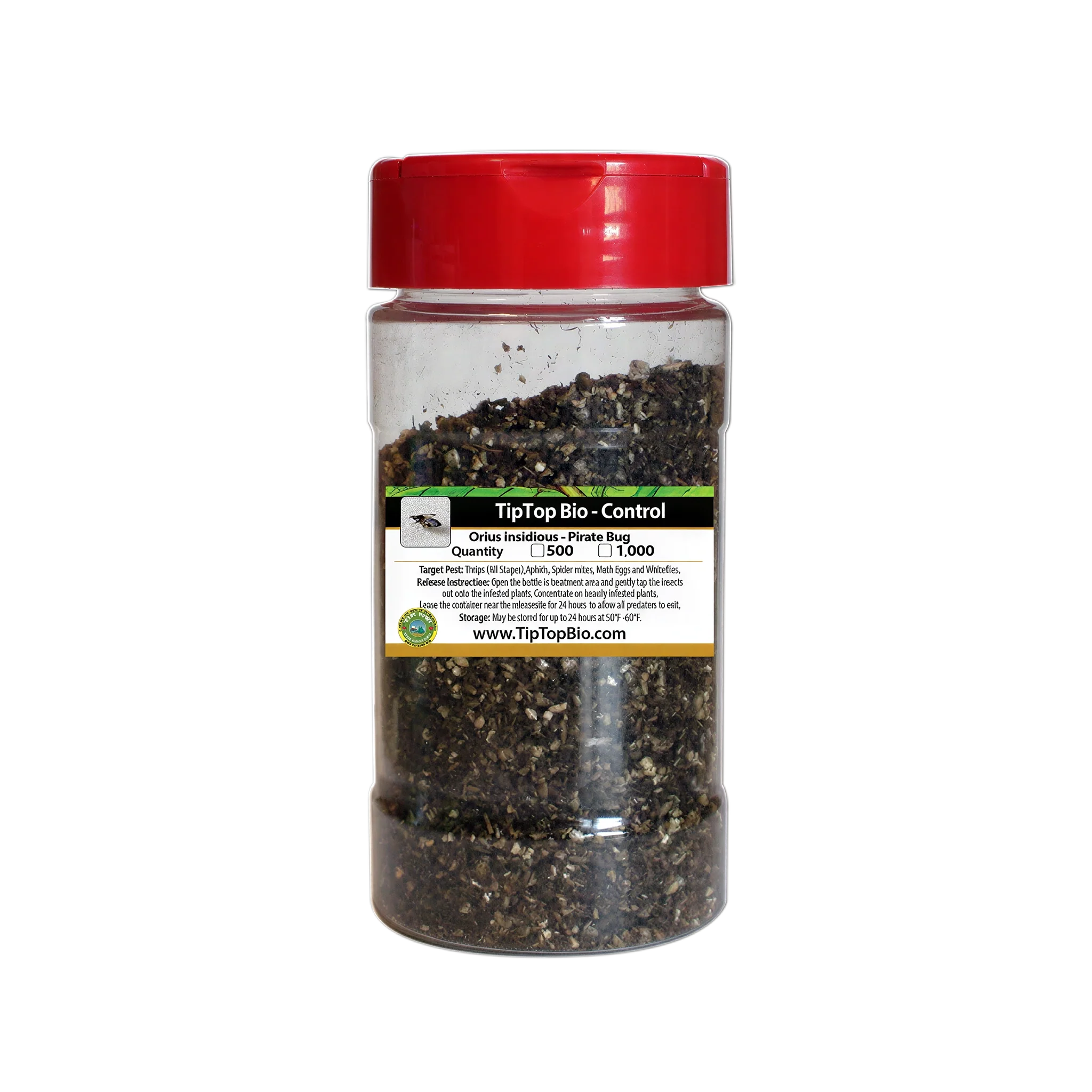 Tip Top Bio-Control Orius Insidiosis - Pirate Bug Beneficial Insects