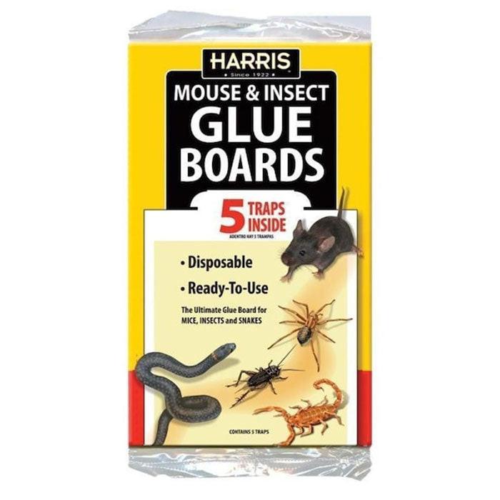 Harris Mouse & Insect Glue Boards, Pack of 5 - Case of 18 Packs