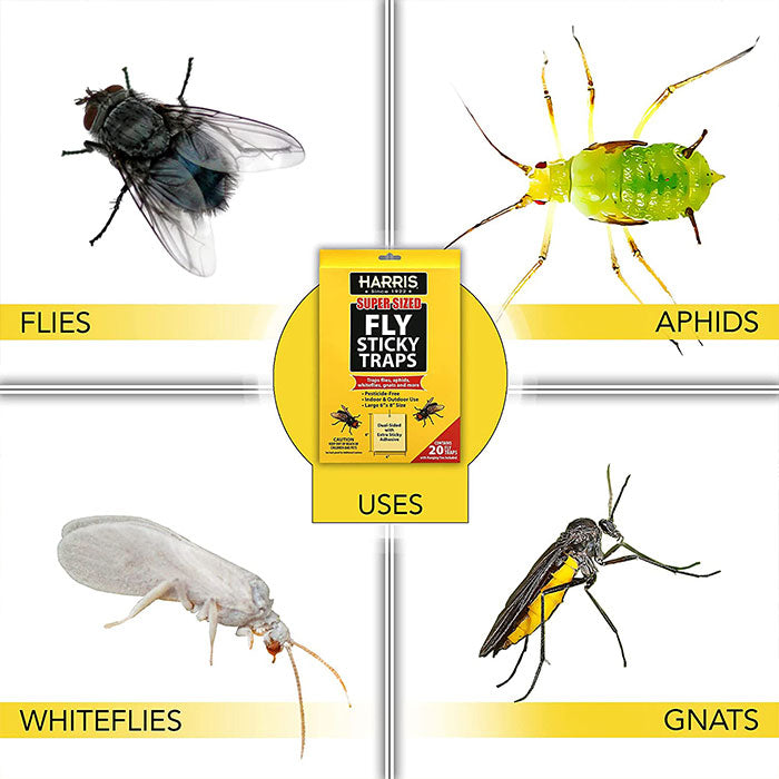 Harris Super Sized Fly Sticky Traps, Pack of 20 - Case of 12 Packs