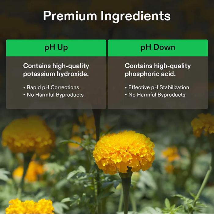 Vivosun pH Up & pH Down Kit, 1 Quart Each