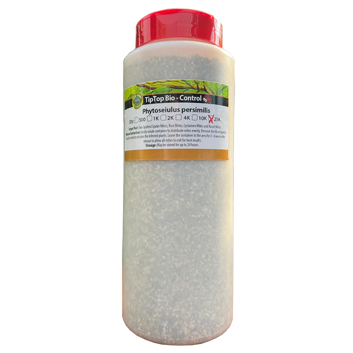 Tip Top Bio-Control Phytoseiulus Persimilis Beneficial Mites, Bottle of 25,000