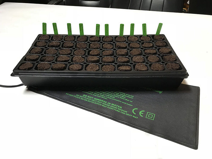 HBX 50 Site Seedling Starter Kit with Root Plugs