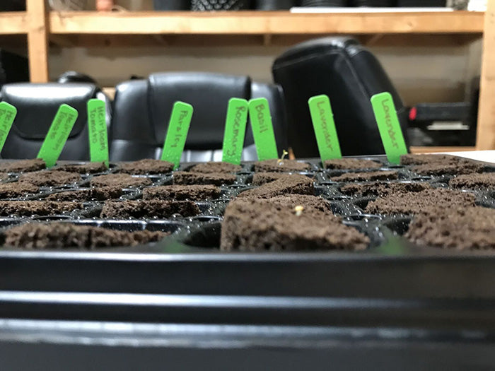 HBX 50 Site Seedling Starter Kit with Root Plugs