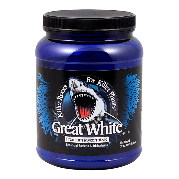 Plant Success Great White