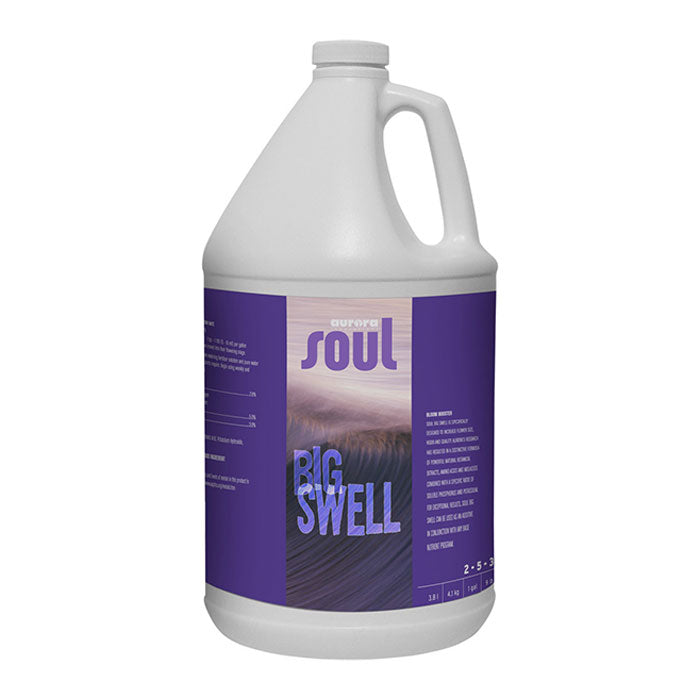 Soul Big Swell
