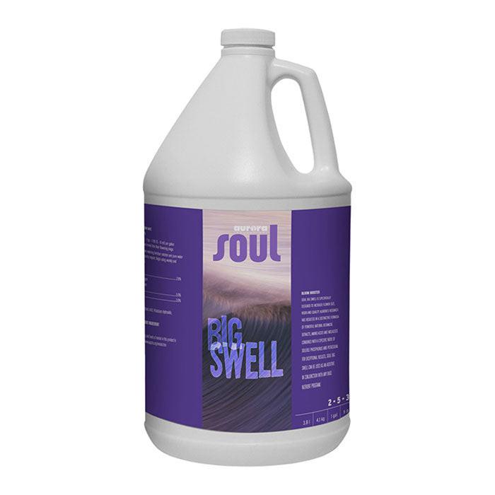 Soul Big Swell