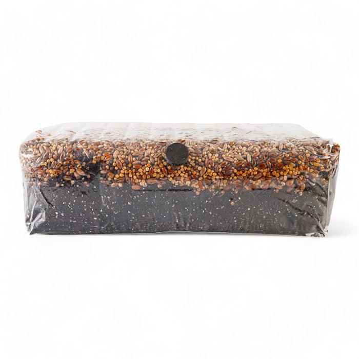 R&R Cultivation All In One Mushroom Grow Bag, 4 lb