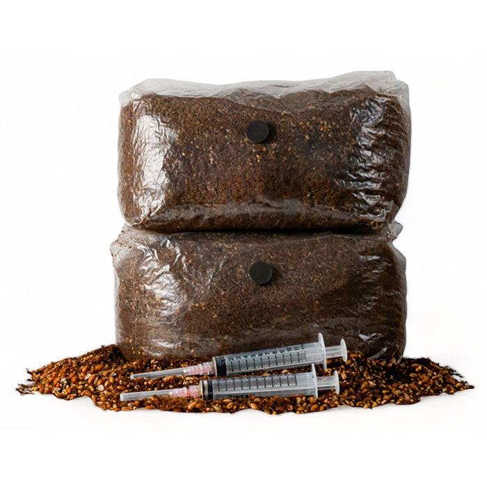 R&R Cultivation Organic DIY Mushroom Grow Kit, Blue Oyster, 5 lb.